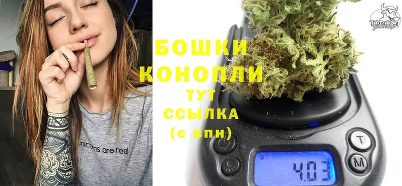 Каннабис OG Kush  Артёмовский 